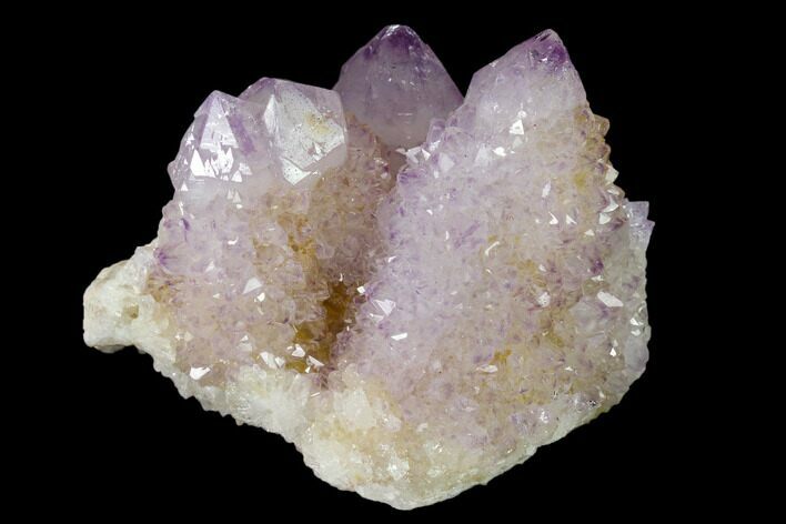 Cactus Quartz (Amethyst) Crystal Cluster - South Africa #137770
